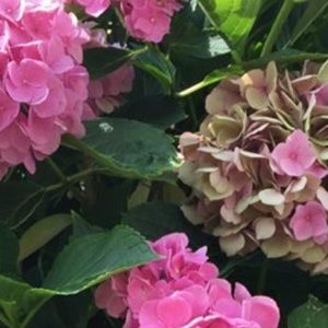 Meet your Posher, Kt